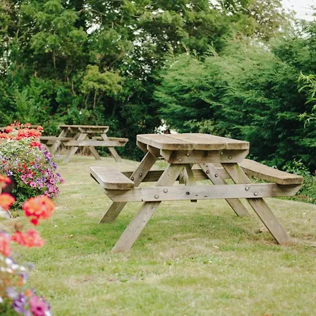 Oda ve Kahvaltı The Wellington Heifer Northallerton